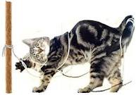 Tethering the Cat
